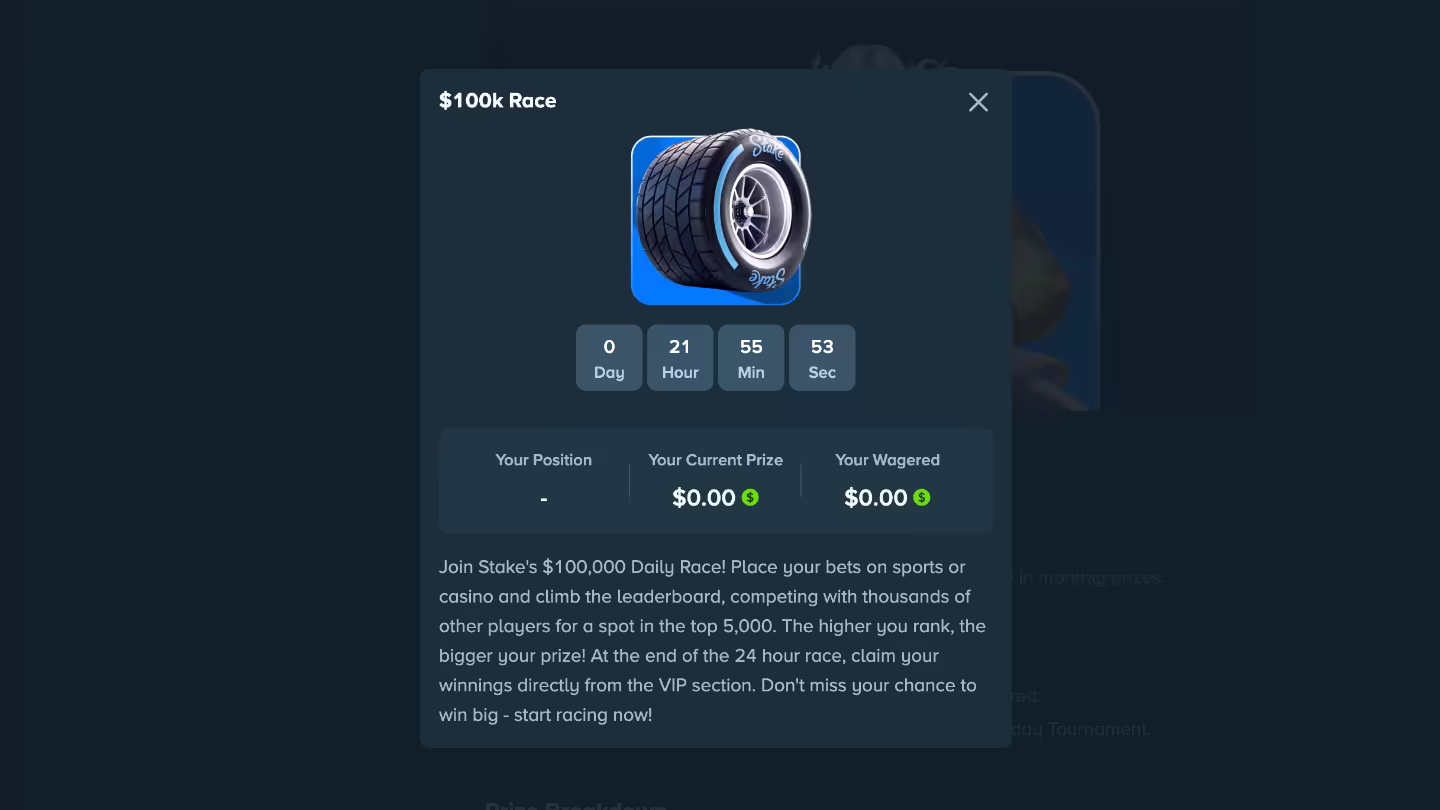 Stake.com's $100,000 Daily Race leaderboard, showing player positions and the prize attached to each